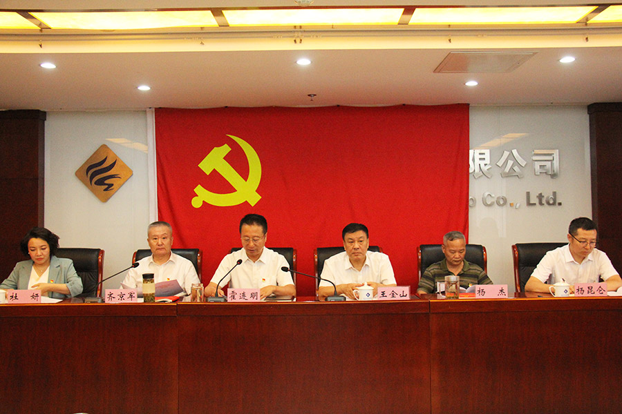 杏彩电子党委召开学习贯彻习近平新时代中国特色社会主义思想主题教育总结会