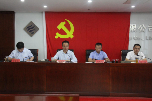 杏彩电子党委召开第六轮巡察工作动员部署会